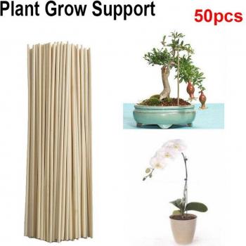 Soutien en bois à tiges de fleurs – 50 bâtons de bambou