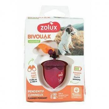 Collare BIVOUAK con Guinzaglio USB Rosso