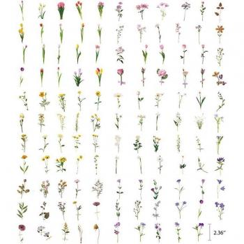 240PCS Floral Daisy Transparent Stickers for Laptops and Crafts (6 Sets)