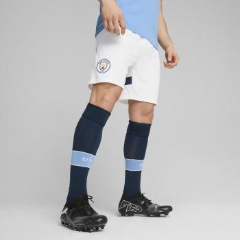 Puma Short Manchester City Fc – Puma Shorts City
