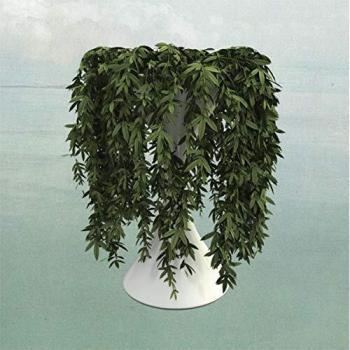 Errors Lease of Life (Vinyl) 12 Album (Importación USA)