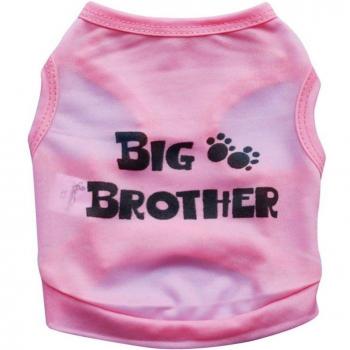 Small Dog Big Brother Hoodie