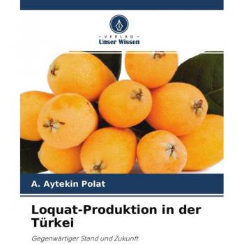 Loquat-Produktion in der Türkei
