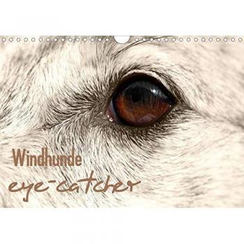 Windhunde eye-catcher