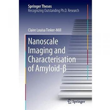 Nanoscale Imaging and Characterisation of Amyloid-