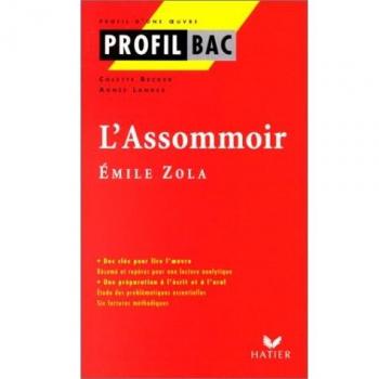Profil d'une oeuvre : L'assommoir, Zola