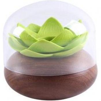 Caja de Dientes Madera Maciza