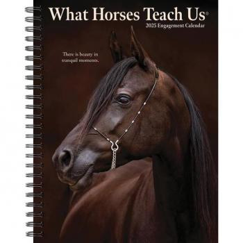 What Horses Teach Us A5 Diary 2025