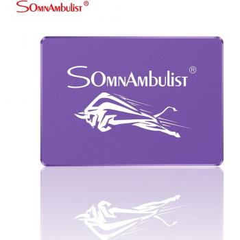 Purple SATA SSD 960GB