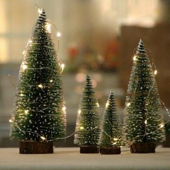 Small Christmas Cedar Tree