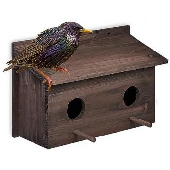 Casa de pájaros de abeto natural, diseño colgante, 2 agujeros de entrada, perchas incluidas, marrón