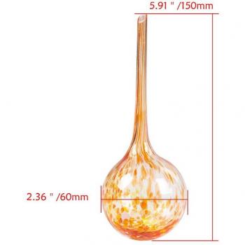 Bonsaï Irrigé En Verre