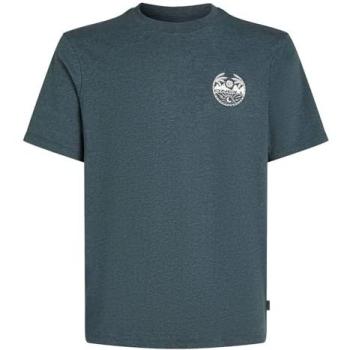 O'Neill T-Shirt a Maniche Corte “Back Print” – Colore Grigio