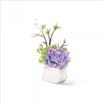 Tissu décoration bricolage 20x20cm 100% coton succulentes