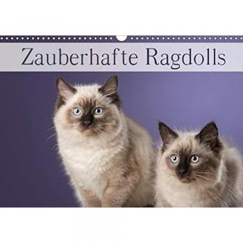 Zauberhafte Ragdolls / Geburtstagskalender