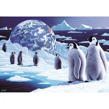 Grafika Kids Antarktis Puzzle