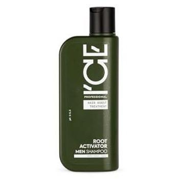 Shampooing pour Hommes avec Actifs Fortifiants Anti-Chute 250 ml