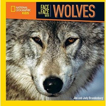 Face to Face with Wolves