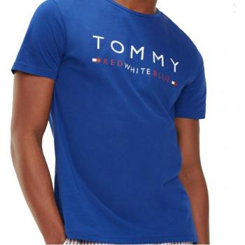 Tommy Hilfiger Men's Blue Crew Neck T-Shirt