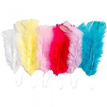 Assorted Color Feathers, Large Size