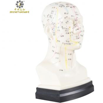 Cranial Acupuncture Point Kit