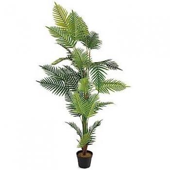 EuroAreca 180 CM