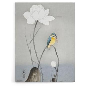 18×24 “Kingfisher & Lotus” Canvas by Ohara Koson in Grey