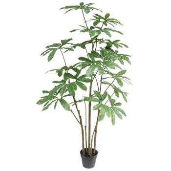 Mini Green Umbrella Tree – 150 cm