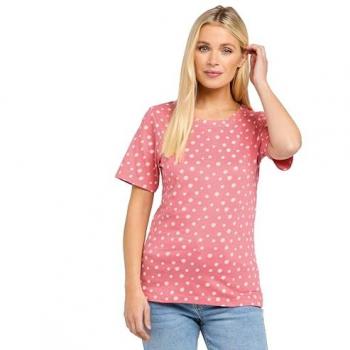 Peter Storm Women's Angel Short Sleeved Tee