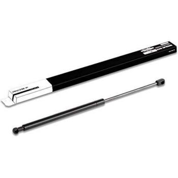 RIDEX Vérin de coffre arrière pour HYUNDAI GETZ (TB)