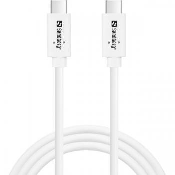 Sandberg USB-C to USB 3.1 G2 100W Charging Cable, 1M
