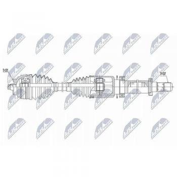 Árbol de Transmisión NTY NPW-BM-172 (Variante)