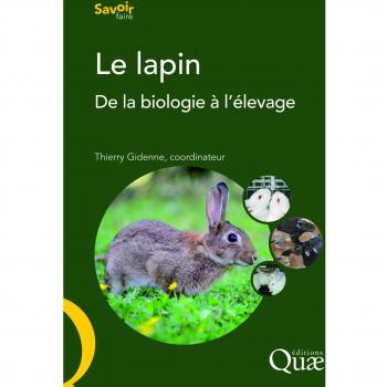 Le lapin