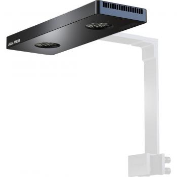 MerLumière Innovatrice