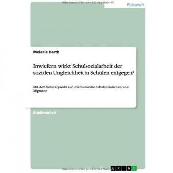 Inwiefern wirkt Schulsozialarbeit der sozialen Ungleichheit in Schulen entgegen?: Mit dem Schwerpunkt auf interkulturelle Schulsozialarbeit und Migration