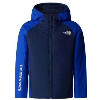 The North Face Boys Never Stop Synthetic Jacket