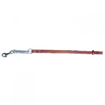 Guinzaglio per cane 70cm larghezza 18mm