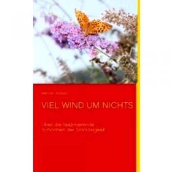 Werner Ablass Viel Wind Um Nichts: Über Die Faszinierende Schönheit Der Sinnlosigkeit
