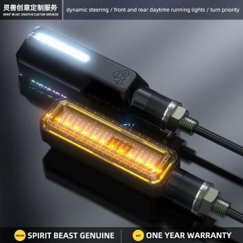 Luces intermitentes LED para motocicleta Spirit Beast L25, lámpara de señal, 12V, 2 unidades, resistente al agua