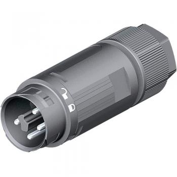 Wieland Rundstecker Stecker, gerade Serie RST® MINI