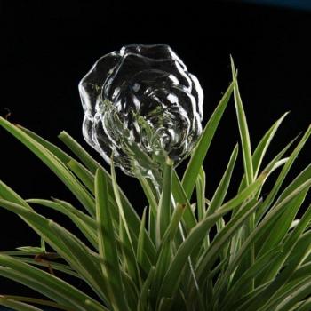 Hydrateur floral intelligent 6 types d’embouteillage