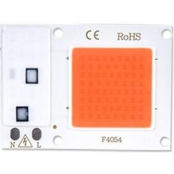 Full Spectrum Grow Light 10W 20W 30W