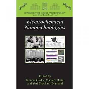 Electrochemical Nanotechnologies