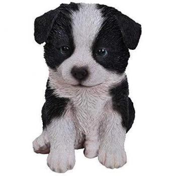 Sheepdog Sweetheart Pup