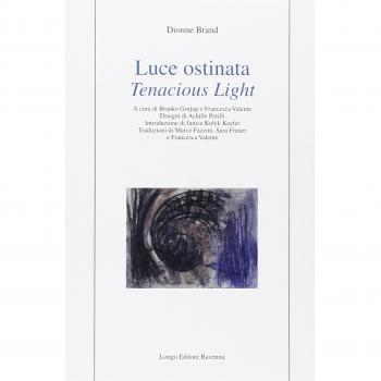 Luce ostinata-Tenacious light