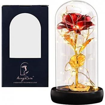 Perpetual Petal Dome