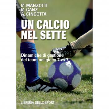 Un calcio nel sette. Dinamiche di gestione dei team nel gioco 7 Vs 7