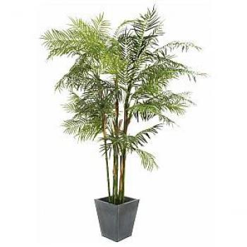 Palma Artificiale Finta Cycas, 280 Cm