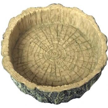 Turtle and Lizard Feeding Dish