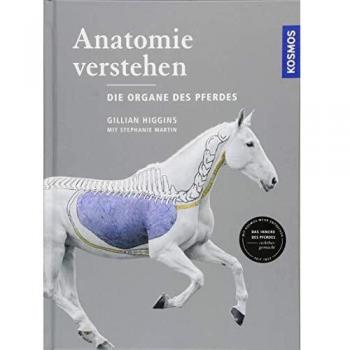 Anatomie verstehen